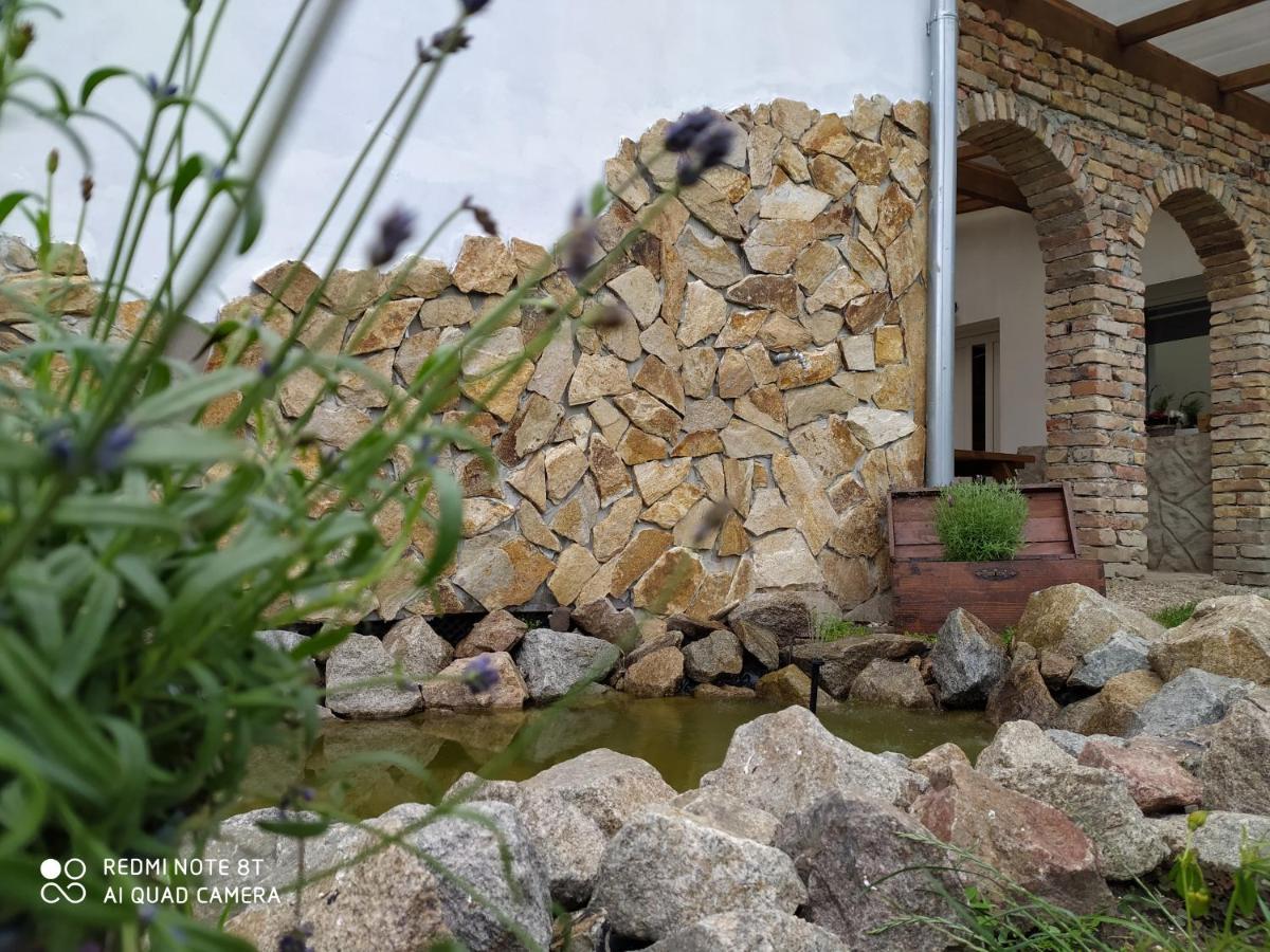 Penzion Levandule A Palava Starovicky Exterior foto